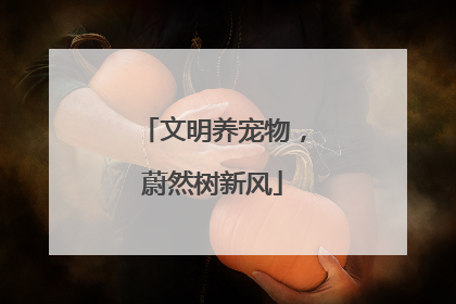 文明养宠物，蔚然树新风