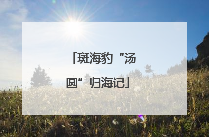 斑海豹“汤圆”归海记