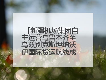 新疆机场集团自主运营乌鲁木齐至乌兹别克斯坦纳沃伊国际货运航线成功首航