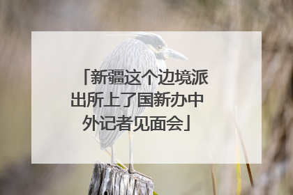 新疆这个边境派出所上了国新办中外记者见面会