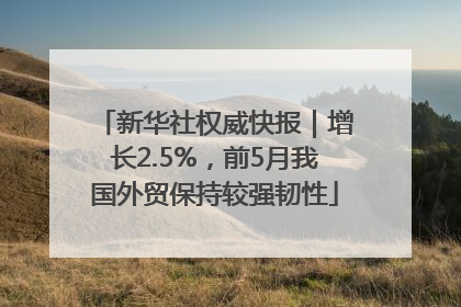 新华社权威快报｜增长2.5%，前5月我国外贸保持较强韧性