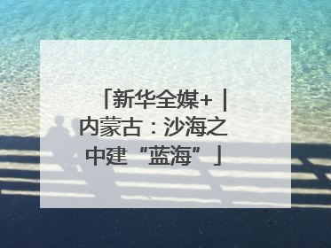 新华全媒+｜内蒙古：沙海之中建“蓝海”