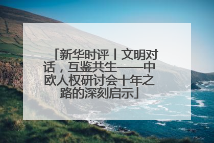新华时评丨文明对话，互鉴共生——中欧人权研讨会十年之路的深刻启示