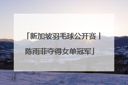 新加坡羽毛球公开赛丨陈雨菲夺得女单冠军