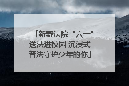 新野法院“六一”送法进校园 沉浸式普法守护少年的你