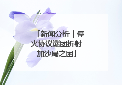新闻分析｜停火协议谜团折射加沙局之困