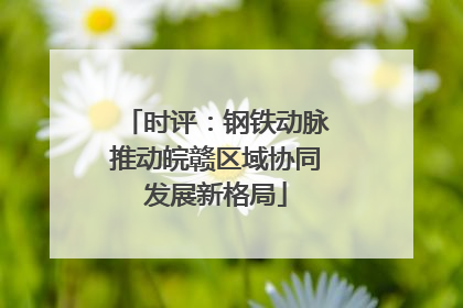 时评：钢铁动脉推动皖赣区域协同发展新格局