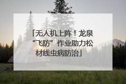 无人机上阵！龙泉“飞防”作业助力松材线虫病防治