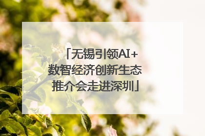 无锡引领AI+数智经济创新生态推介会走进深圳