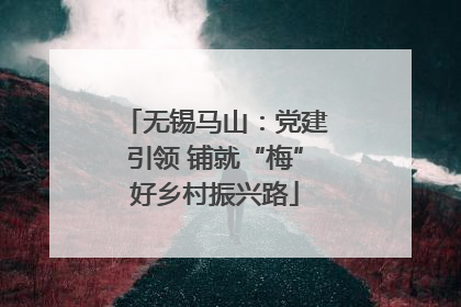 无锡马山：党建引领 铺就“梅”好乡村振兴路