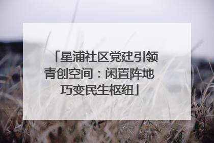 星浦社区党建引领青创空间：闲置阵地巧变民生枢纽