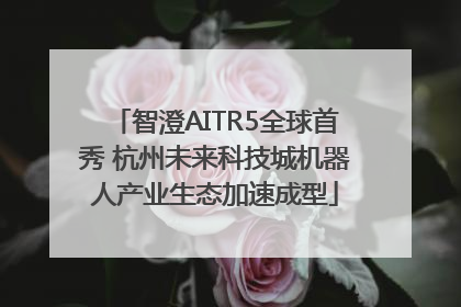 智澄AITR5全球首秀 杭州未来科技城机器人产业生态加速成型