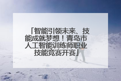 智能引领未来、技能成就梦想！青岛市人工智能训练师职业技能竞赛开赛