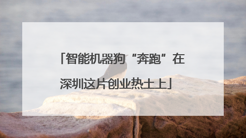 智能机器狗“奔跑”在深圳这片创业热土上