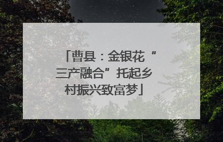 曹县：金银花“三产融合”托起乡村振兴致富梦
