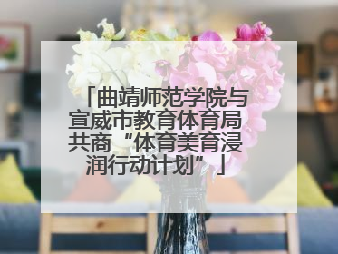 曲靖师范学院与宣威市教育体育局共商“体育美育浸润行动计划”