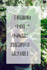 机器狗、中国“小商品”背后的司法力量