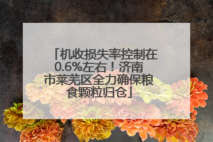 机收损失率控制在0.6%左右！济南市莱芜区全力确保粮食颗粒归仓