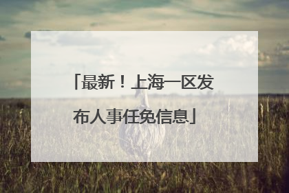 最新！上海一区发布人事任免信息