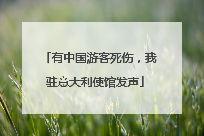 有中国游客死伤，我驻意大利使馆发声