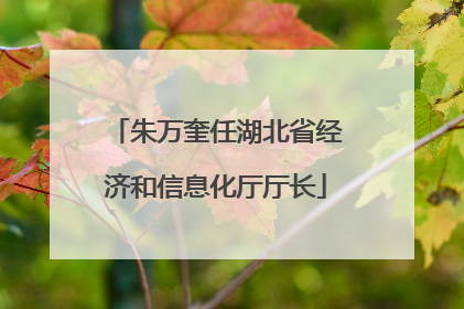 朱万奎任湖北省经济和信息化厅厅长