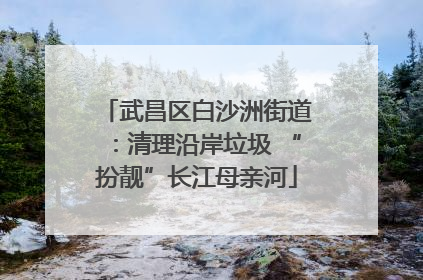 武昌区白沙洲街道：清理沿岸垃圾 “扮靓”长江母亲河