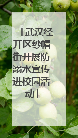武汉经开区纱帽街开展防溺水宣传进校园活动