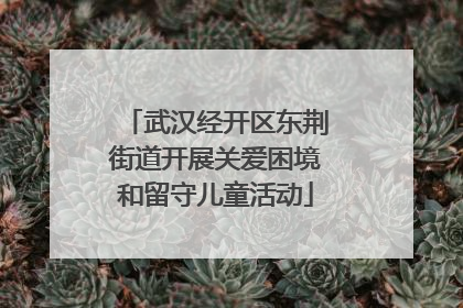 武汉经开区东荆街道开展关爱困境和留守儿童活动