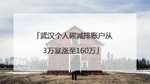 武汉个人碳减排账户从3万暴涨至160万