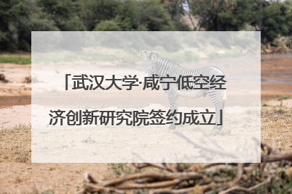武汉大学·咸宁低空经济创新研究院签约成立
