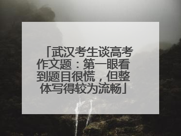 武汉考生谈高考作文题：第一眼看到题目很慌，但整体写得较为流畅