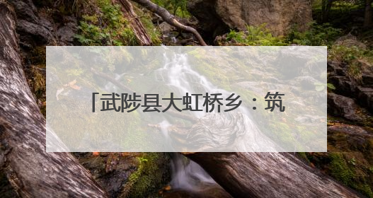 武陟县大虹桥乡：筑牢禁烧“防火墙” 守护夏粮好“丰”景