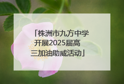 株洲市九方中学开展2025届高三加油助威活动