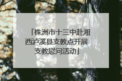 株洲市十三中赴湘西泸溪县支教点开展支教慰问活动