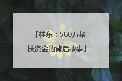桂东：560万帮扶资金的背后故事