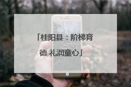 桂阳县：阶梯育德 礼润童心