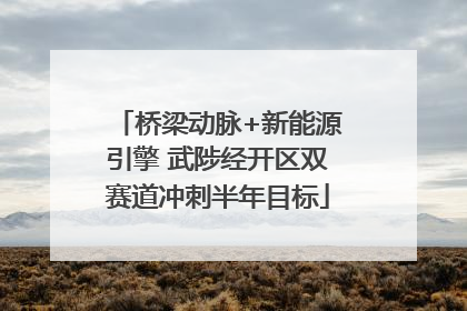 桥梁动脉+新能源引擎 武陟经开区双赛道冲刺半年目标