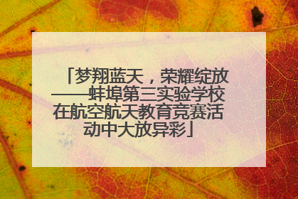 梦翔蓝天，荣耀绽放——蚌埠第三实验学校在航空航天教育竞赛活动中大放异彩