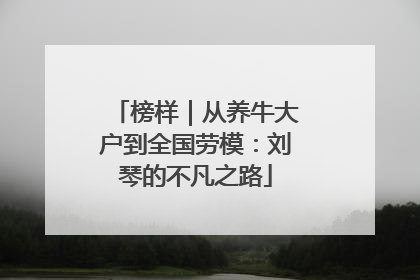 榜样｜从养牛大户到全国劳模：刘琴的不凡之路