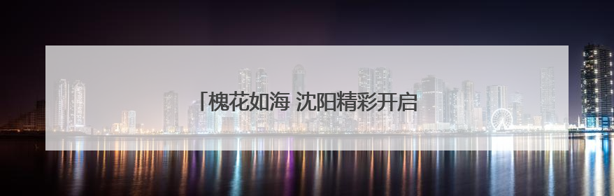 槐花如海 沈阳精彩开启国潮中医雅集汉服游园会