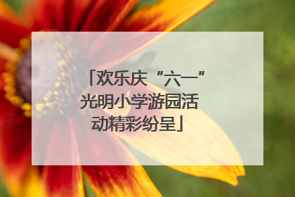 欢乐庆“六一” 光明小学游园活动精彩纷呈