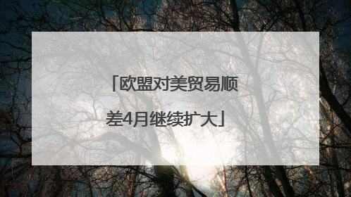 欧盟对美贸易顺差4月继续扩大