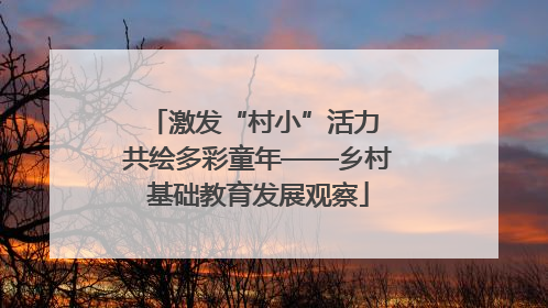 激发“村小”活力 共绘多彩童年——乡村基础教育发展观察