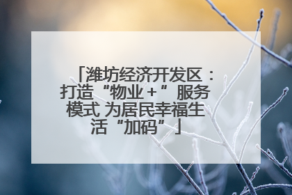 潍坊经济开发区：打造“物业＋”服务模式 为居民幸福生活“加码”