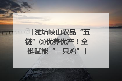 潍坊峡山农品“五链”③优养优产！全链赋能“一只鸡”