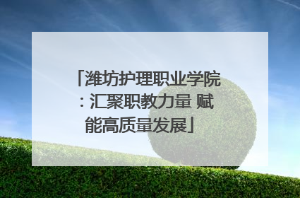 潍坊护理职业学院：汇聚职教力量 赋能高质量发展