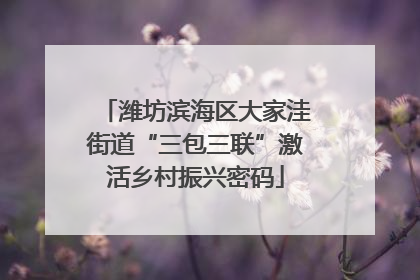 潍坊滨海区大家洼街道“三包三联”激活乡村振兴密码