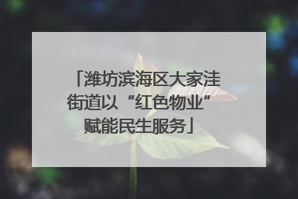潍坊滨海区大家洼街道以“红色物业”赋能民生服务