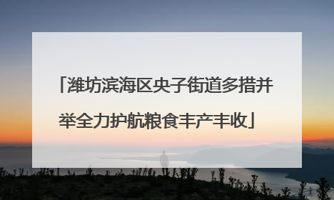 潍坊滨海区央子街道多措并举全力护航粮食丰产丰收