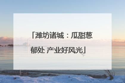 潍坊诸城：瓜甜葱郁处 产业好风光